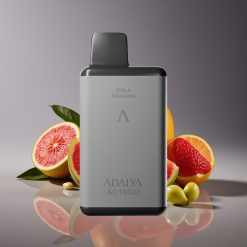Adalya AD 10000 Puffs Disposable Vape English Lord Space Gray USB-C 14ml 2%