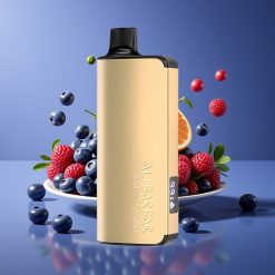 Alibarbar Ingot 9000 Puffs 22ml LED Display Disposable Vape Blueberry Blast