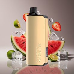 Alibarbar Ingot 9000 Puffs 22ml LED Watermelon Ice Disposable Vape
