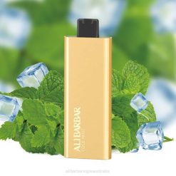 Alibarbar Vapes Melbourne TV8N54 Cool Mint - Alibarbar Pandora 7000 Disposable Vape