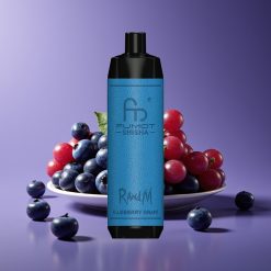 RandM Fumot Shisha 10000 Puffs LED Type-C 18mL 0.6ohm Mesh Disposable Vape Blueberry Grape