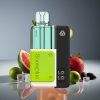 Snowplus Swift 5000 Puffs Dual Mesh 2+10ml Mojito Ice