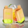 Vapsolo Twins 20000 Puffs 40ml Dual Tank Type-C Lemon Lime & Watermelon Ice Disposable Vape