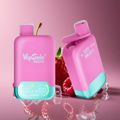 Vapsolo Twins 20000 Puffs 40ml Dual Tank Type-C Strawberry Raspberry Cherry Ice Grape Ice Disposable Vape