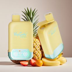 Vapsolo Twins 20000 Puffs Dual Tank Type-C Disposable Vape Pineapple Coconut & Strawberry Banana
