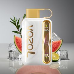 VOZOL STAR 40000 Puffs 1000mAh Type-C Disposable Vape Melon Ice 20/50mg