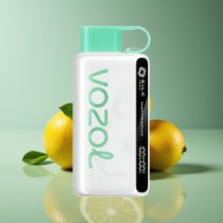 VOZOL STAR 9000/12000 Disposable Vape Lemon Mint with 650mAh Battery & S.i.L.C TECH